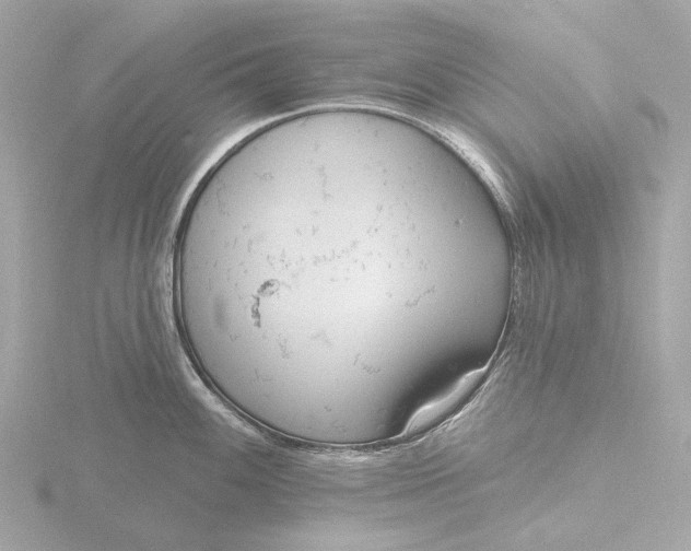 X0000116431100200912221500