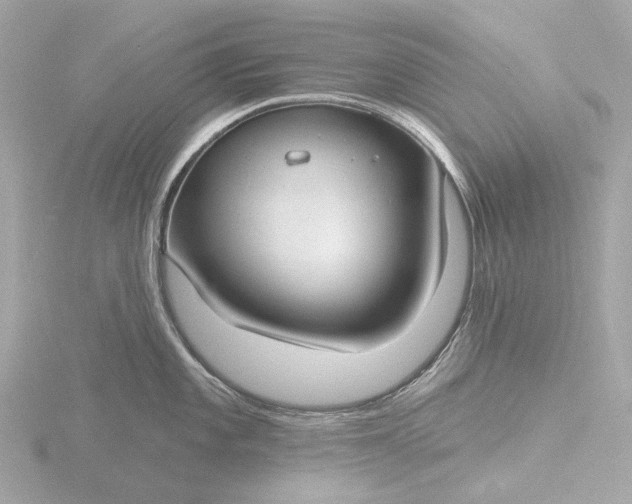 X0000116431101200912221500