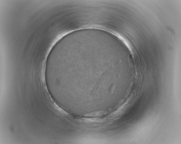 X0000116431102200912221500