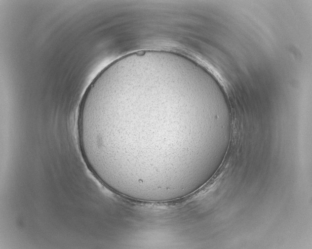 X0000116431103200912221500