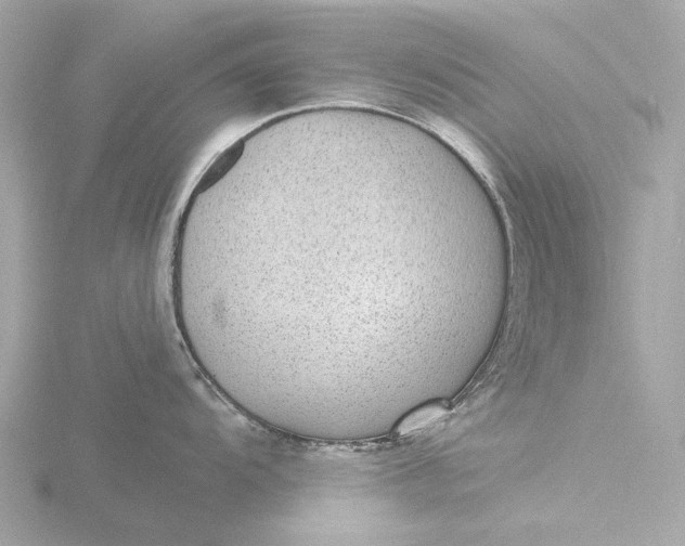 X0000116431104200912221500