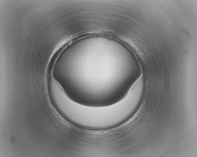 X0000116431122200912221500