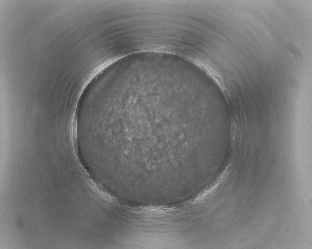 X0000116431125200912221500