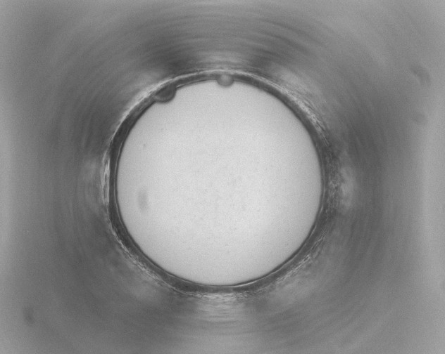 X0000116431126200912221500