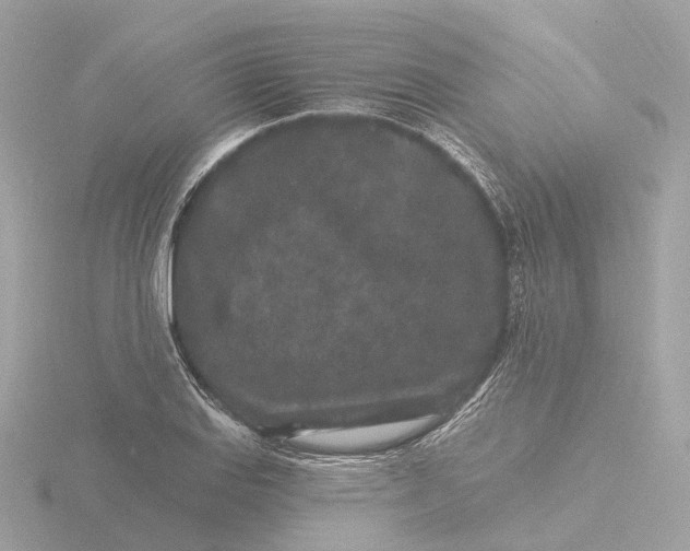 X0000116431127200912221500