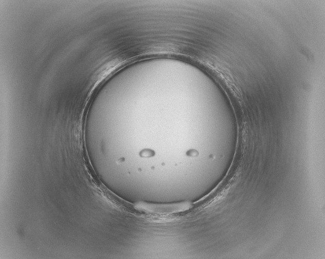 X0000116431129200912221500