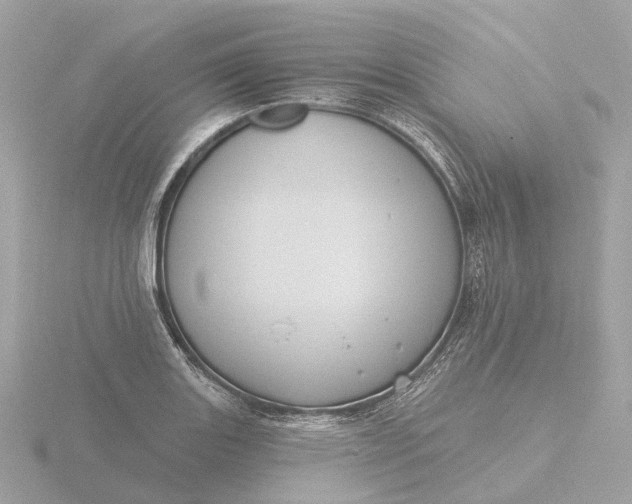 X0000116431131200912221500