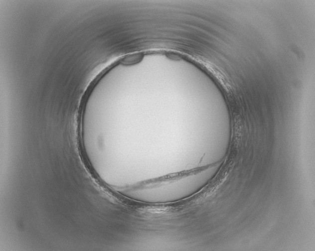 X0000116431134200912221500