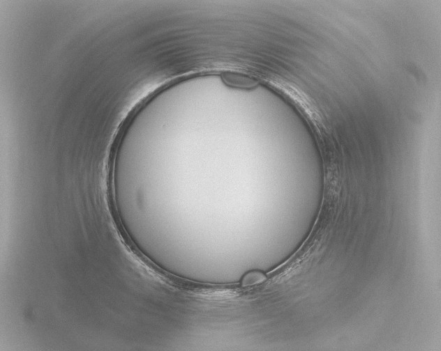 X0000116431135200912221500