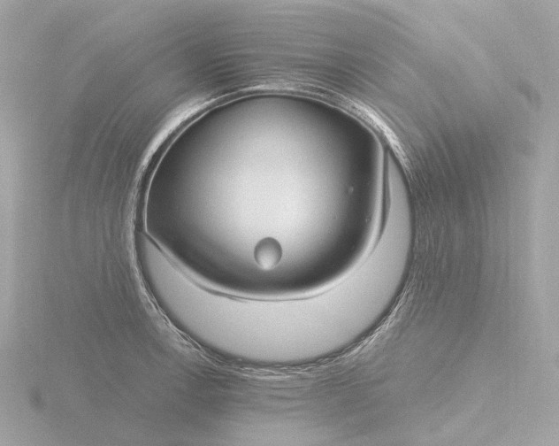 X0000116431138200912221500