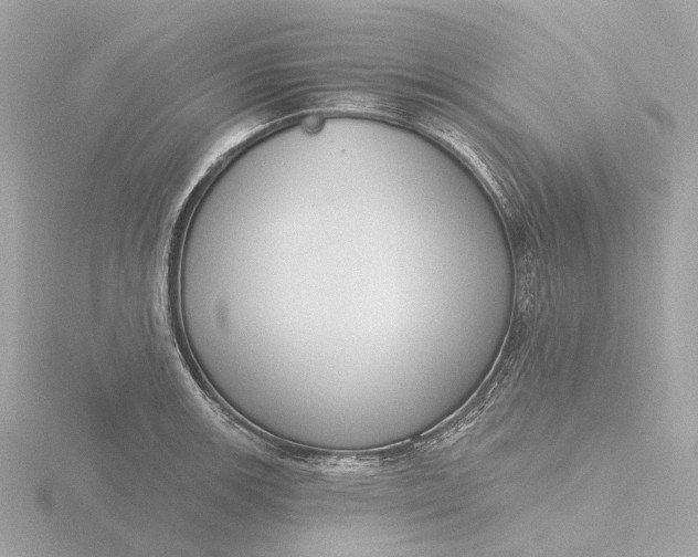 X0000116431139200912221500