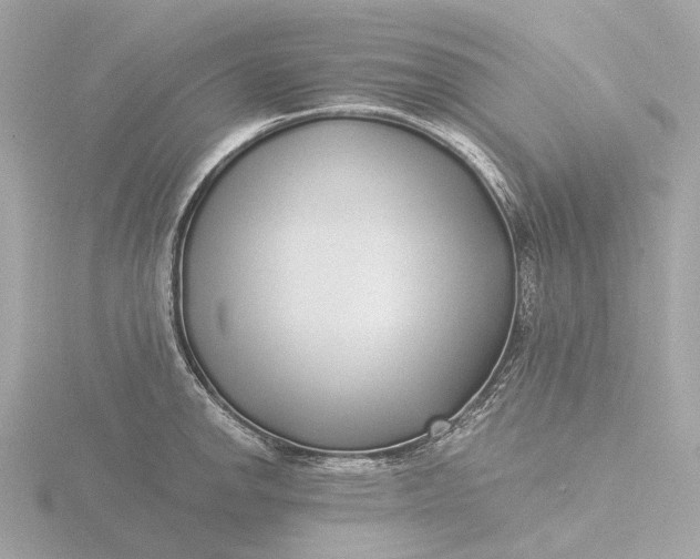 X0000116431142200912221500