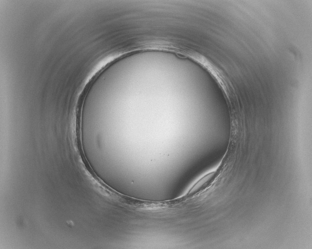 X0000116431147200912221500