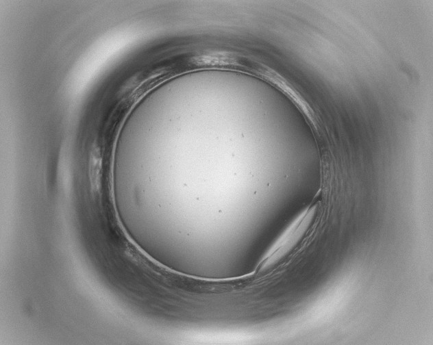 X0000116431151200912221500