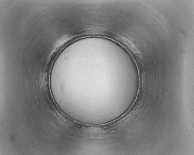 X0000116431164200912221459