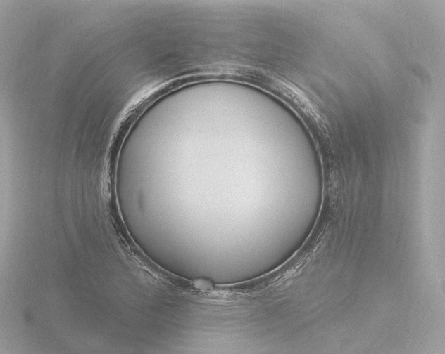 X0000116431172200912221459