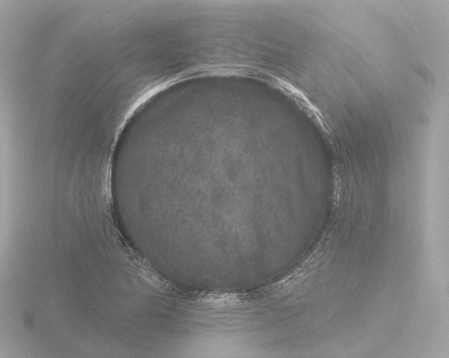 X0000116431174200912221459