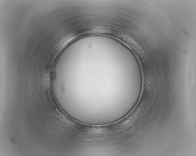 X0000116431177200912221459