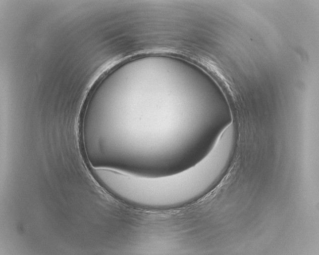 X0000116431181200912221459