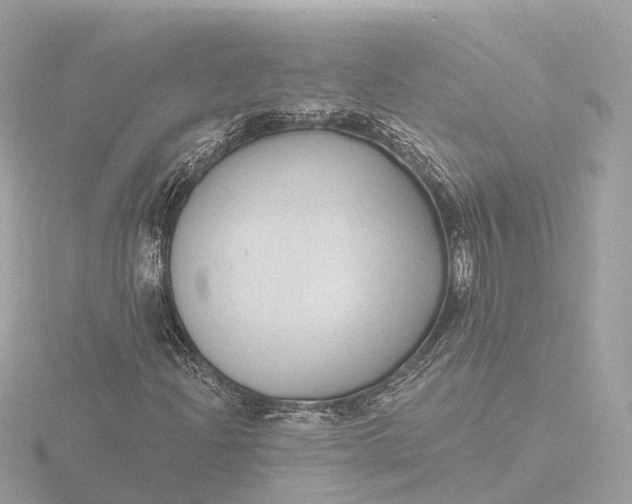 X0000116431204200912221458