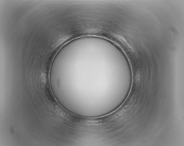 X0000116431209200912221458