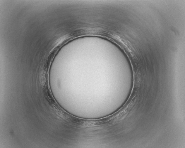 X0000116431211200912221458