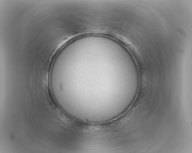 X0000116431220200912221458