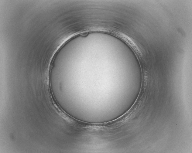 X0000116431236200912221459