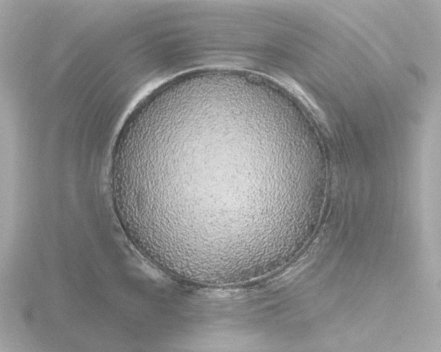 X0000116431240200912221459