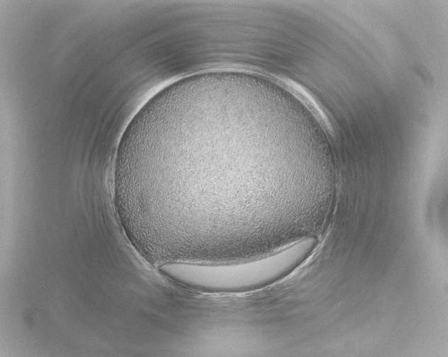 X0000116431244200912221459