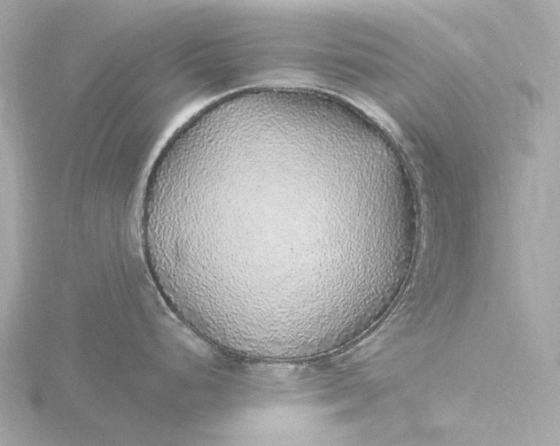 X0000116431248200912221459