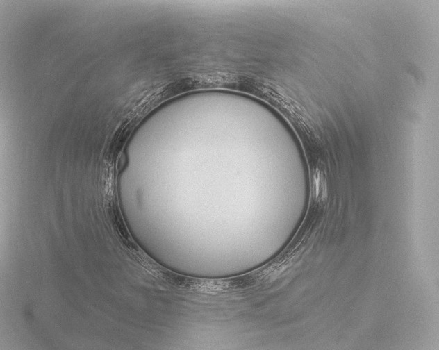 X0000116431251200912221458