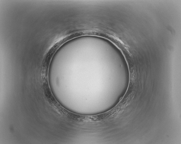 X0000116431255200912221458