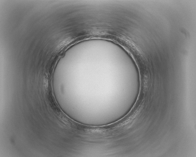 X0000116431257200912221458