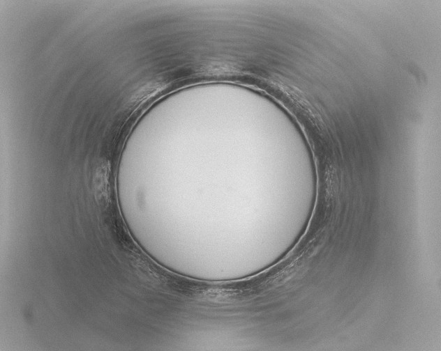 X0000116431265200912221458