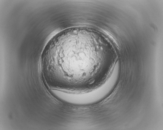 X0000116431275200912221458