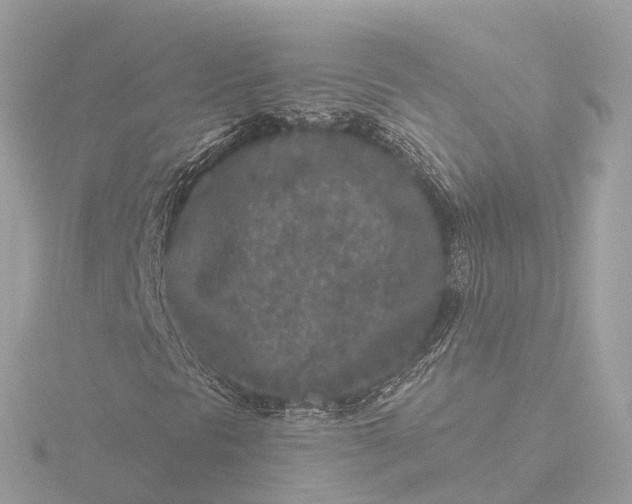 X0000116431297200912221457