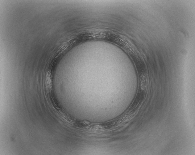X0000116431298200912221457