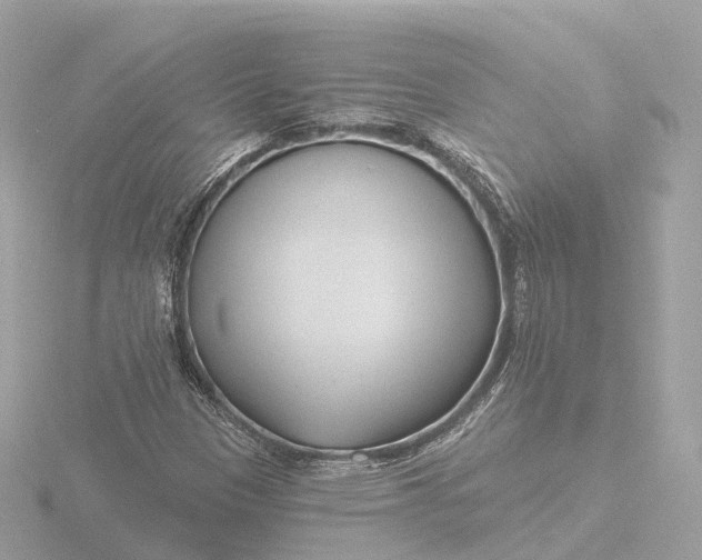 X0000116431305200912221457
