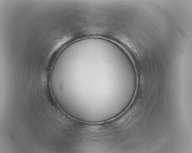 X0000116431309200912221457