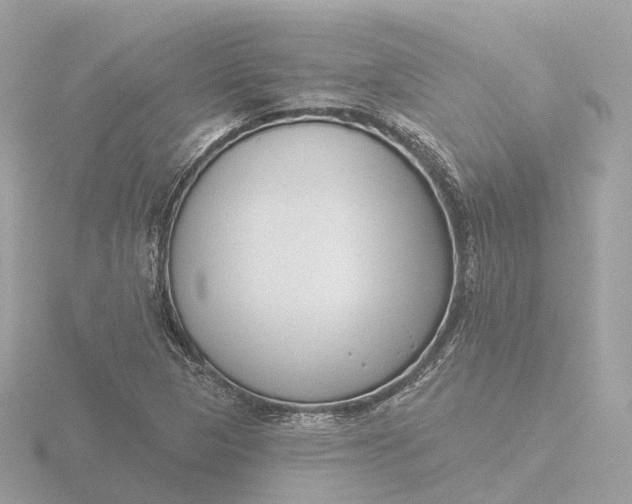 X0000116431313200912221457
