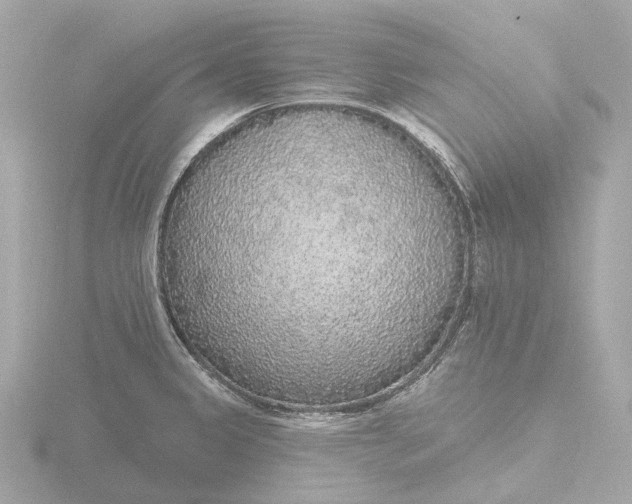 X0000116431333200912221457