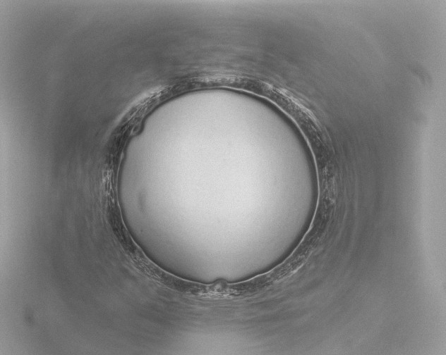 X0000116431351200912221457