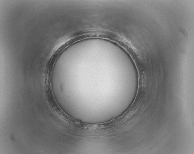 X0000116431352200912221457