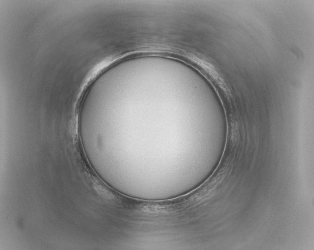 X0000116431366200912221457