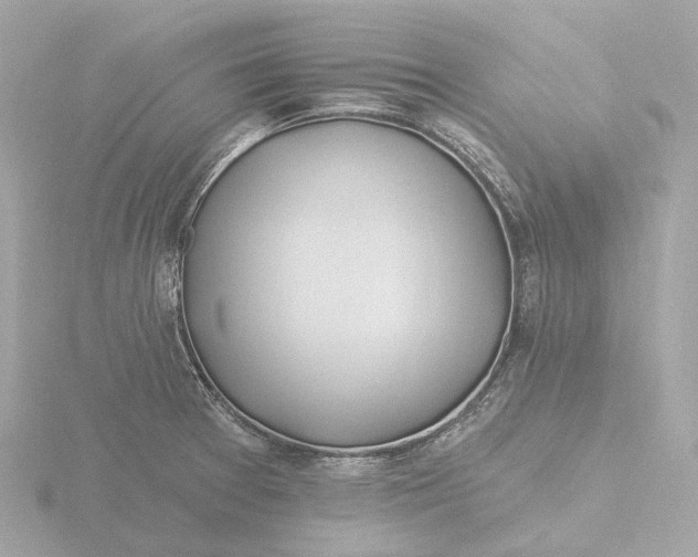 X0000116431377200912221456