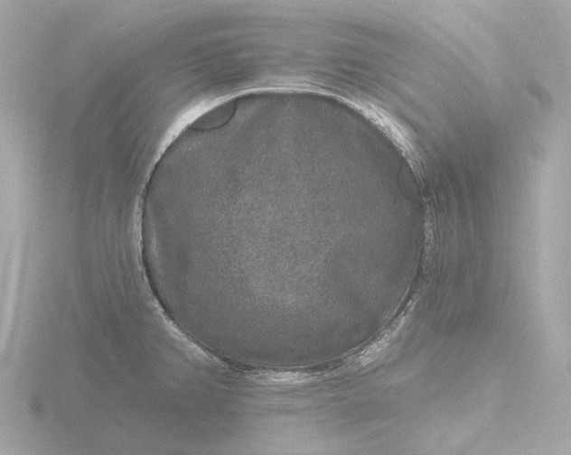 X0000116431382200912221456