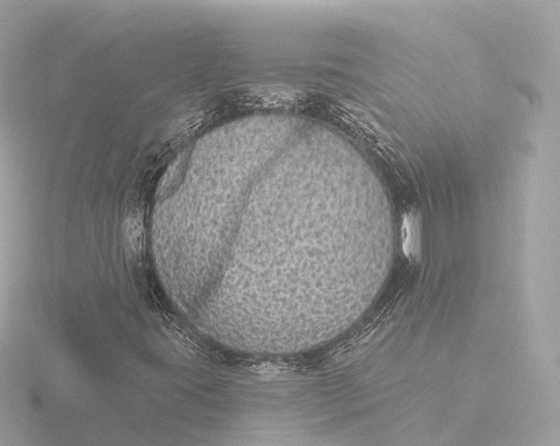 X0000116431395200912221456