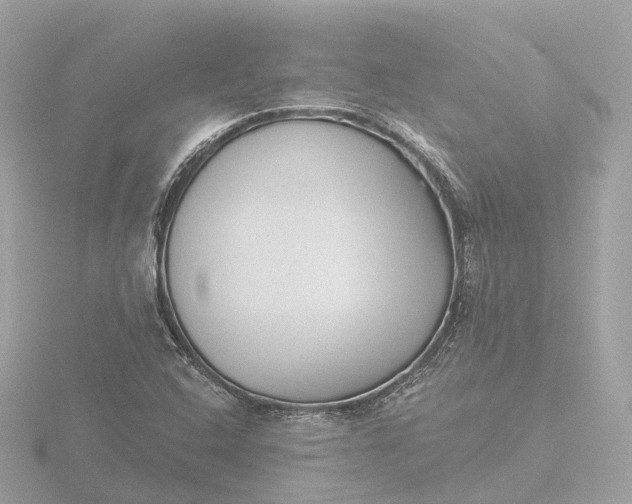X0000116431408200912221456