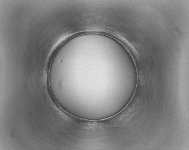 X0000116431416200912221456